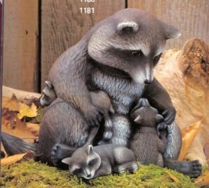 mother raccoon w/babies mother raccoon w/babies