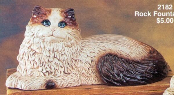 laying ragamuffin cat