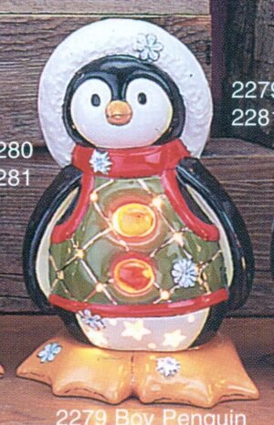 boy penguin