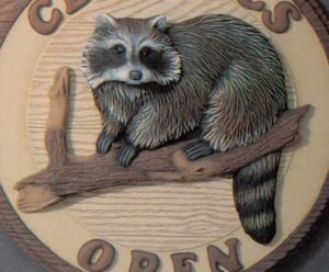 raccoon plaque raccoon plaque