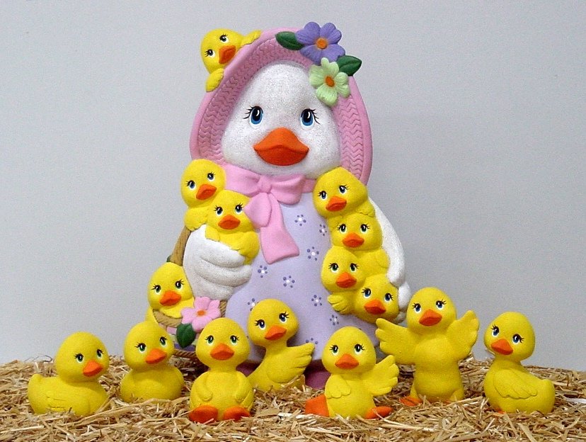 duck2