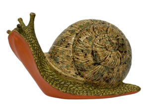 snail removebg preview snail removebg preview